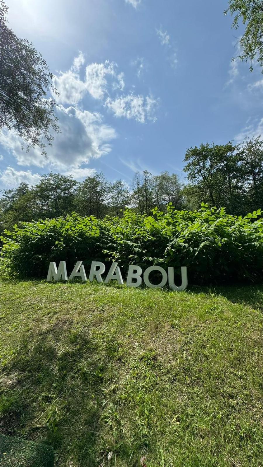 Marabou Resort Brasov Bagian luar foto